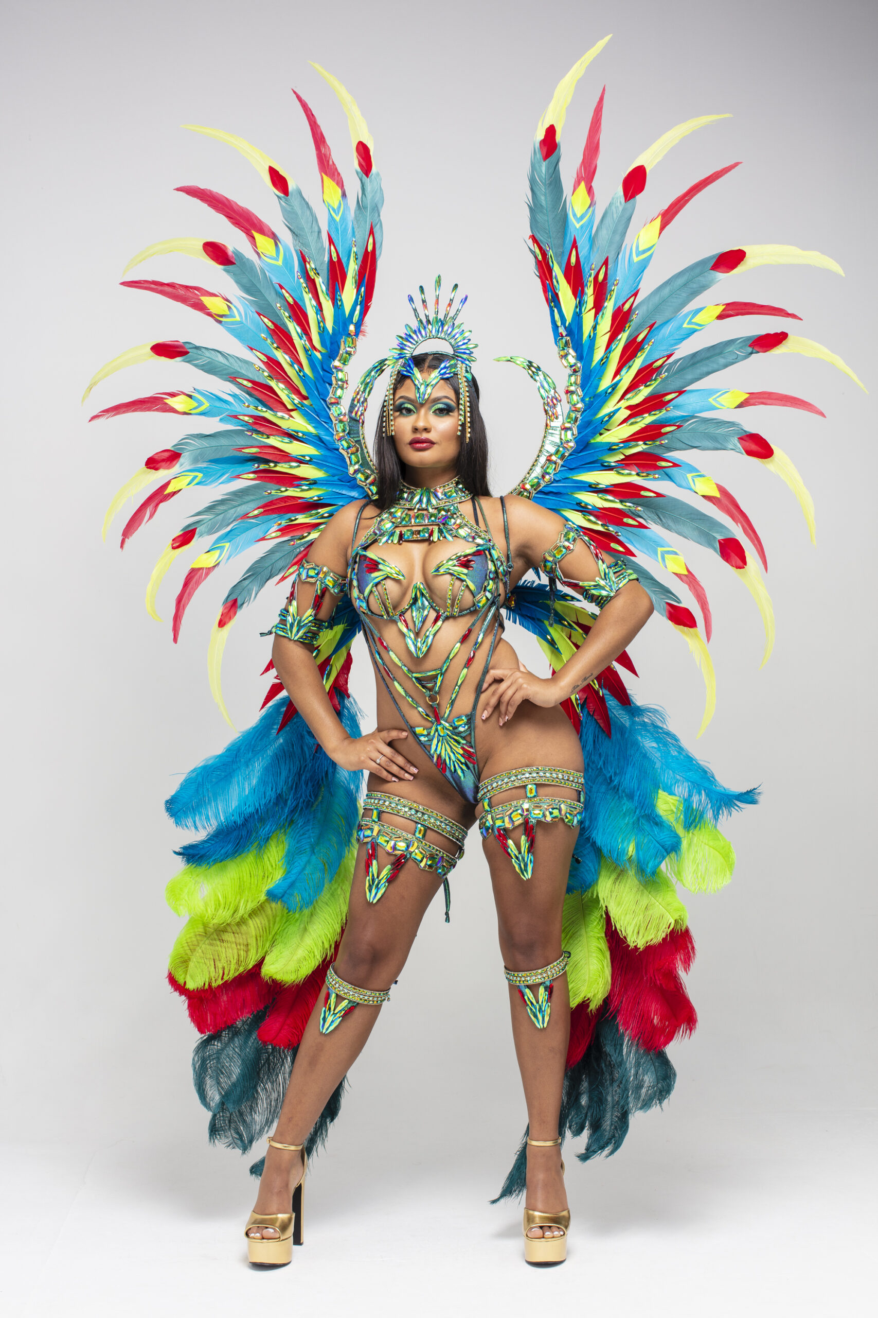 carnival party costume for wire costume